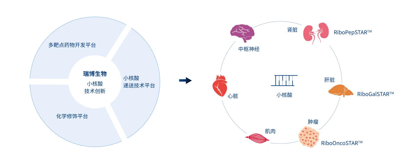 中文(3).png